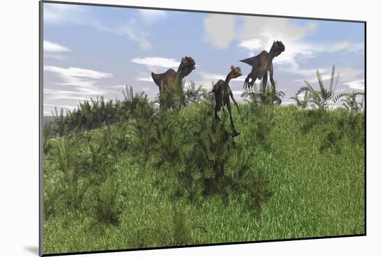 Two Utahraptors Chasing a Gigantoraptor across a Grassy Field-null-Mounted Art Print