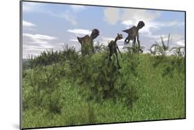 Two Utahraptors Chasing a Gigantoraptor across a Grassy Field-null-Mounted Art Print