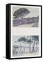 Two Views of Ste Maxime-null-Framed Stretched Canvas