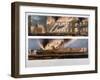 Two Views of the Destruction of the Armoury in the Tower of London by Fire, 30 October 1841-W & Co Kohler-Framed Giclee Print