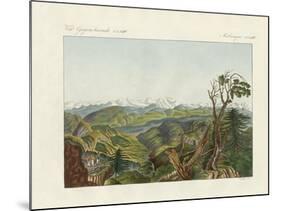 Two Views of the Himalayas-null-Mounted Giclee Print