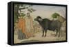 Two Village Women and a Buffalo in the Village of Rania, C.1816-null-Framed Stretched Canvas