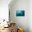 Two Walruses Underwater-null-Stretched Canvas displayed on a wall