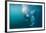 Two Walruses Underwater-null-Framed Premium Photographic Print