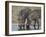 Two Warthog (Phacochoerus Aethiopicus) at a Water Hole-James Hager-Framed Photographic Print