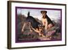 Two Welsh Terriers-null-Framed Art Print