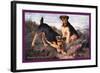 Two Welsh Terriers-null-Framed Art Print