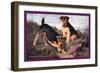 Two Welsh Terriers-null-Framed Art Print