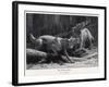 Two Werewolves Howl at the Full Moon-J.c. Dollman-Framed Photographic Print