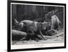 Two Werewolves Howl at the Full Moon-J.c. Dollman-Framed Photographic Print