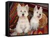 Two Westies sitting on Southwestern blankets.-Zandria Muench Beraldo-Framed Stretched Canvas