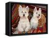 Two Westies sitting on Southwestern blankets.-Zandria Muench Beraldo-Framed Stretched Canvas