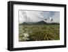 Two Whiskered Terns (Chlidonias Hybrida) in Flight Near Nest with Eggs, Lake Skadar Np, Montenegro-Radisics-Framed Photographic Print