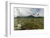 Two Whiskered Terns (Chlidonias Hybrida) in Flight Near Nest with Eggs, Lake Skadar Np, Montenegro-Radisics-Framed Photographic Print