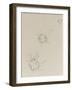 Two Whistler Butterflies, C.1890 (Pencil on Paper)-James Abbott McNeill Whistler-Framed Giclee Print