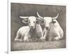 Two White Bulls-Gwendolyn Babbitt-Framed Art Print