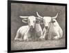 Two White Bulls-Gwendolyn Babbitt-Framed Art Print