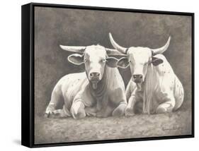 Two White Bulls-Gwendolyn Babbitt-Framed Stretched Canvas