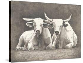 Two White Bulls-Gwendolyn Babbitt-Stretched Canvas