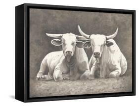 Two White Bulls-Gwendolyn Babbitt-Framed Stretched Canvas