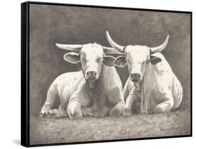 Two White Bulls-Gwendolyn Babbitt-Framed Stretched Canvas
