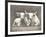 Two White Bulls-Gwendolyn Babbitt-Framed Art Print