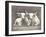 Two White Bulls-Gwendolyn Babbitt-Framed Art Print