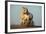 Two White Camargue Horses Trotting in Sand, Provence, France-Jaynes Gallery-Framed Photographic Print