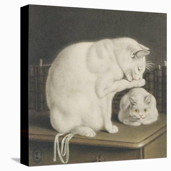 Two White Cats with Books on a Table-Gottfried Mind-Stretched Canvas