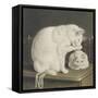 Two White Cats with Books on a Table-Gottfried Mind-Framed Stretched Canvas