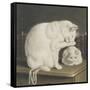 Two White Cats with Books on a Table-Gottfried Mind-Framed Stretched Canvas