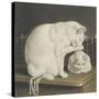 Two White Cats with Books on a Table-Gottfried Mind-Stretched Canvas