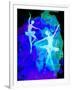 Two White Dancing Ballerinas-Irina March-Framed Art Print
