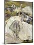 Two White Dresses, 1911-John Singer Sargent-Mounted Giclee Print