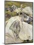 Two White Dresses, 1911-John Singer Sargent-Mounted Giclee Print