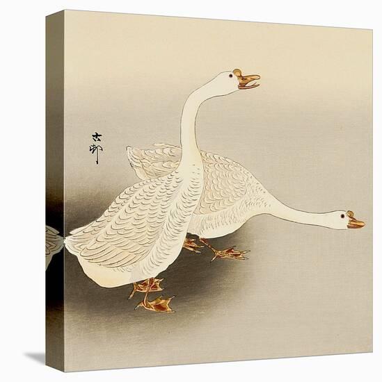Two White Geese-Koson Ohara-Stretched Canvas