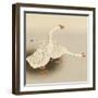 Two White Geese-Koson Ohara-Framed Giclee Print