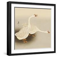 Two White Geese-Koson Ohara-Framed Giclee Print