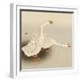Two White Geese-Koson Ohara-Framed Giclee Print