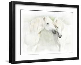 Two White Horses of Camargue, French, Nuzzling-Sheila Haddad-Framed Photographic Print