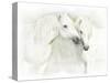Two White Horses of Camargue, French, Nuzzling-Sheila Haddad-Stretched Canvas