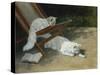 Two White Persian Cats with a Ladybird by a Deckchair, 19th Century-Arthur Heyer-Stretched Canvas