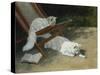 Two White Persian Cats with a Ladybird by a Deckchair, 19th Century-Arthur Heyer-Stretched Canvas