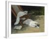 Two White Persian Cats with a Ladybird by a Deckchair, 19th Century-Arthur Heyer-Framed Giclee Print