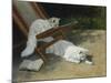 Two White Persian Cats with a Ladybird by a Deckchair, 19th Century-Arthur Heyer-Mounted Giclee Print