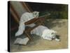 Two White Persian Cats with a Ladybird by a Deckchair, 19th Century-Arthur Heyer-Stretched Canvas