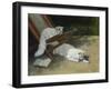 Two White Persian Cats with a Ladybird by a Deckchair, 19th Century-Arthur Heyer-Framed Giclee Print