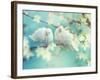 Two White Pigeon on Flowering Background.-IgorAleks-Framed Photographic Print