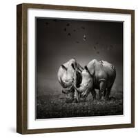 Two White Rhinoceros in the Field with Birds Flying-Johan Swanepoel-Framed Photographic Print