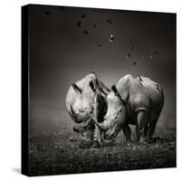 Two White Rhinoceros in the Field with Birds Flying-Johan Swanepoel-Stretched Canvas